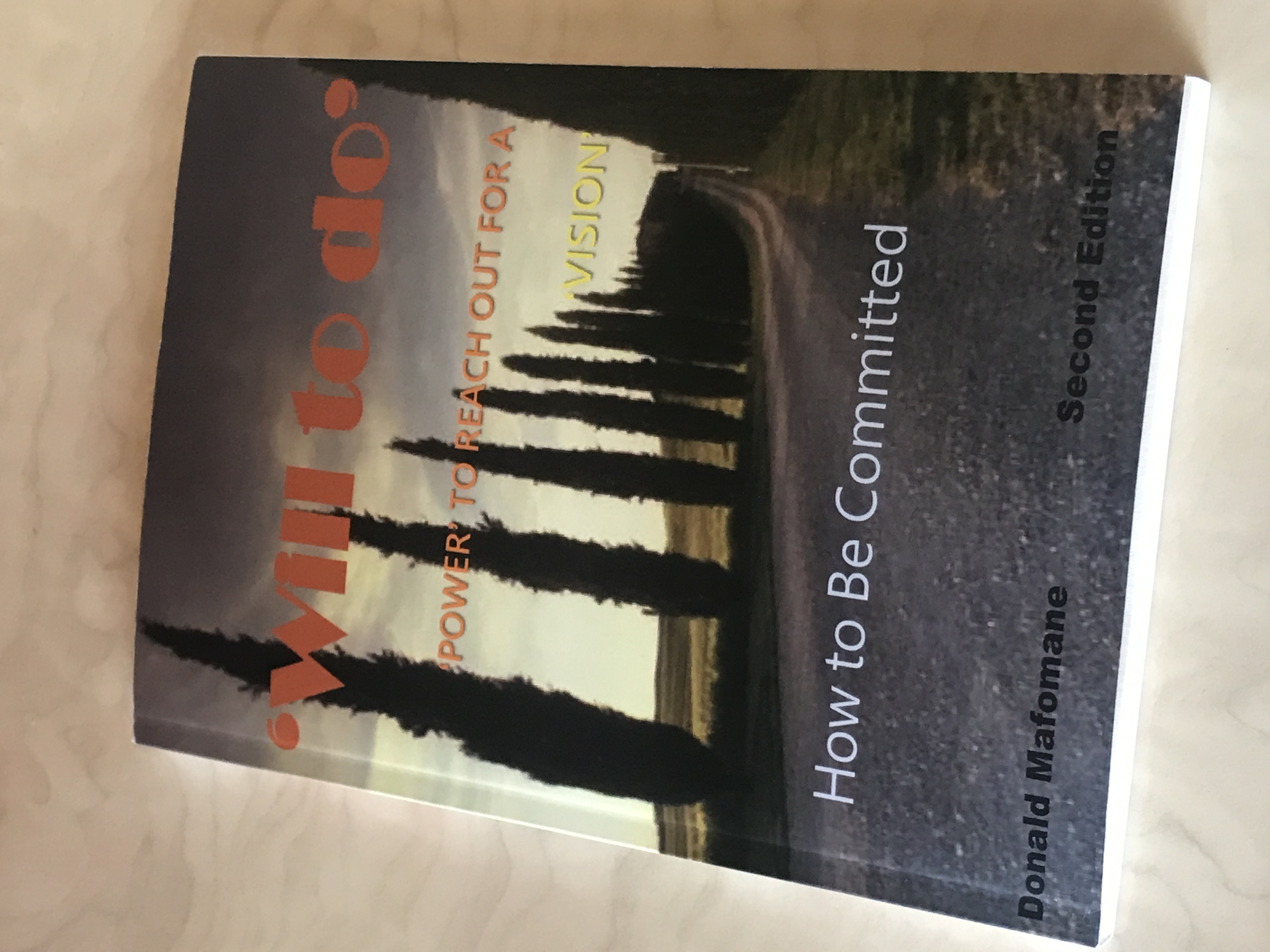 will-to-do-book